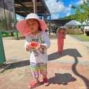 복룡리 화장실 | 아이들과 함께한 무안 회산백련지 워터락 페스티벌 후기(야외 물놀이장, 동물놀장)