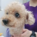 원스동물병원 이미지