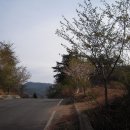 한치재주차장 이미지