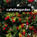 빛고을대로 | 첨단 단체모임하기 좋은 카페더가든(카더가든아님)