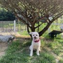 푼타하우스 이미지