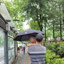 송파글마루도서관점 | (장지동) 송파 글마루 도서관 새싹마루 :: 32개월...비 오는 날 실내 나들이, 어린이 자료실 도서관 후기