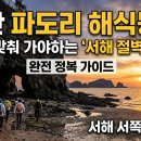 선해식당 | 물때가 열려야만 허락되는 서해 끝 절벽의 문: 태안 파도리 해식동굴 완전 공략 가이드