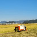 소라초등학교 이미지