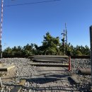 철도건널목 | 동해 여자혼자 여행 가볼만한 곳 사진찍기 좋은 포토존 하평해변 하평건널목 선로기찻길