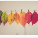 송림한옥 이미지