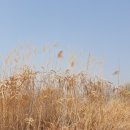 산동교 친수공원 축구장 이미지