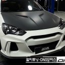 DNS 모터스 이미지