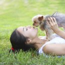 닥터파파동물병원 이미지