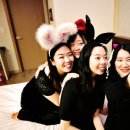 세븐스테이 이미지