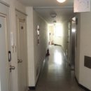 산호동421 이미지