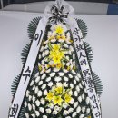 칠갑산약국 Daum카페