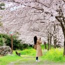 탑1리경로당 이미지