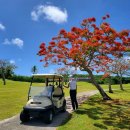 파란골프 이미지