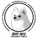 하얀여우 수제간식 네이버블로그