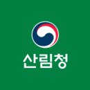 산림청, 2025년 봄철 꽃나무 개화 예측 발표… 개화 시기 지난해보다 다소 늦어질 전망 이미지