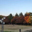 스토리진 | [공연후기] 잘짜여진 극본과 역사 스토리 연극 빵야