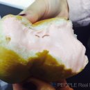 크림바바