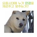 미르안경 이미지