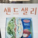 샌드샐리 네이버블로그