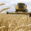 이브농장 이미지