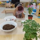 성거초등학교 병설유치원 이미지