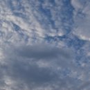 중앙동3가063 이미지