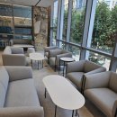 닥터송치과의원 | 닥터송포유의원 상담실 &amp; 대기 공간 가구 납품 후기 ｜상담실데스크·체어· 1인·2인·부스소파 ·소파...