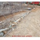 시동농장 이미지