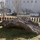 도련지석묘 2호 이미지