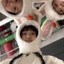 디톡스세상