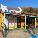 진도개 53카페 이미지