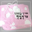 일심전기