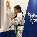 혜성태권도 이미지