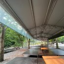 둥지애견 이미지