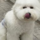 은계동물병원 이미지