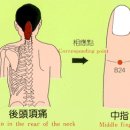 수지침 총론 이미지