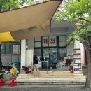 밀양스쿨캠핑장 | 밀양 오토캠핑장 &#39;밀양강캠프스쿨&#39; F4 사이트 후기