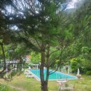 점말민박 | [홍천] 화이트밸리펜션 / casa blanca / 후기 / 노비모임 / 댁네 대감마님은 누구요?