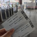 크리스피크림도넛 렛츠런파크점 | 재밌는 서울/경기 이색 데이트 추천 서울 렛츠런파크 경마공원 리뷰