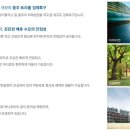 코아루퍼스트 이미지