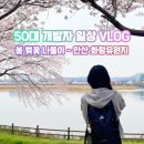 화랑농장 | 안산 벚꽃 명소! 화랑유원지 호수 둘레길 가족 나들이 (주차 및 관람 팁)
