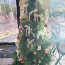 중앙동328 이미지