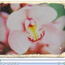 우리들의 사랑 이미지