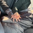 (유)동부렌트카 동여수 | 31 marzo 2025 | 다른 누구 아닌