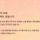 3194 | [결혼 준비_ EP.2] 제주 스냅 제주물감 예약 후기