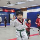 용인대 소나무향기 태권도장 이미지