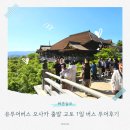 토리수학 - 파주시 교하로329번길 6-26 | 유투어버스 오사카 출발 교토 1일 버스 투어 후기