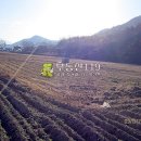 용지농장 이미지