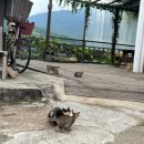 남해촌캉스 이미지